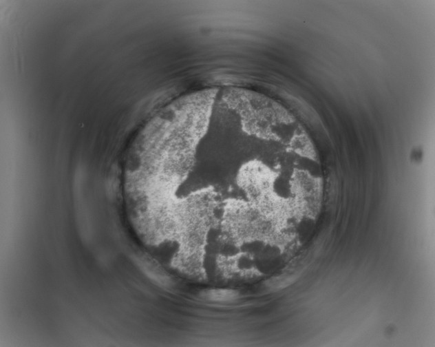 X0000100420361200807032107