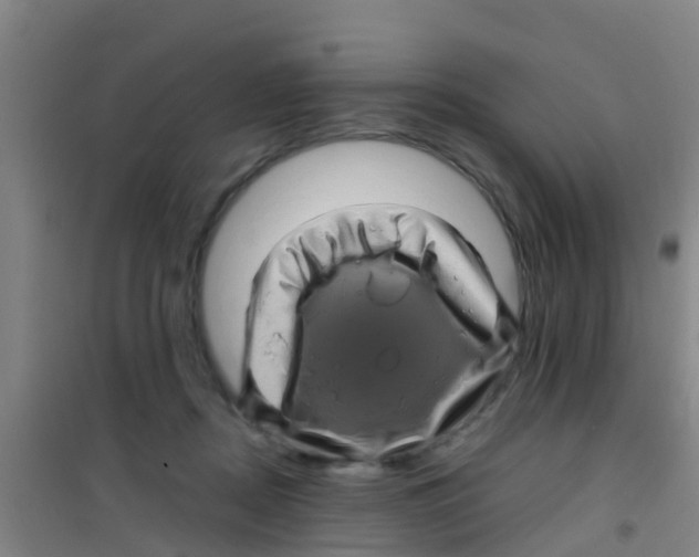 X0000100420362200807032107