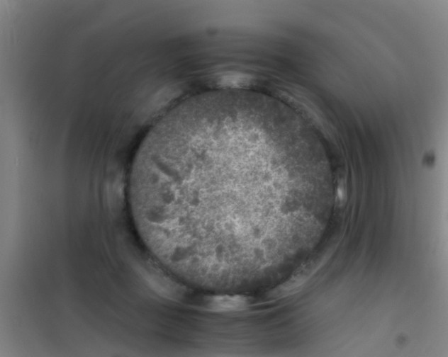 X0000100420363200807032107