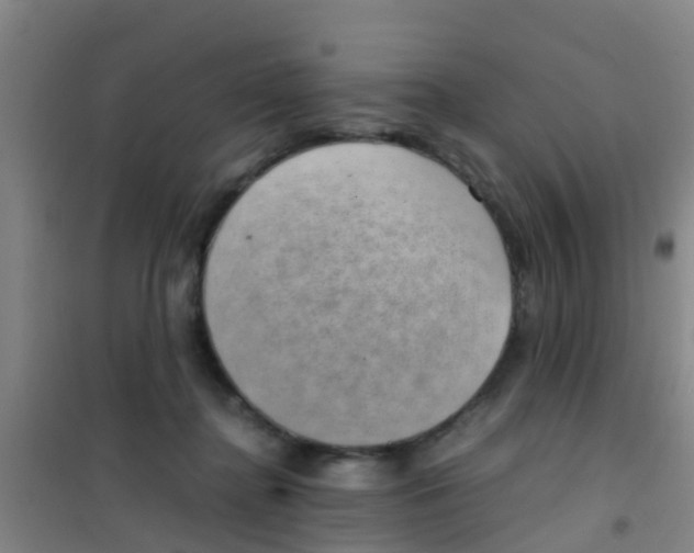 X0000100420364200807032107