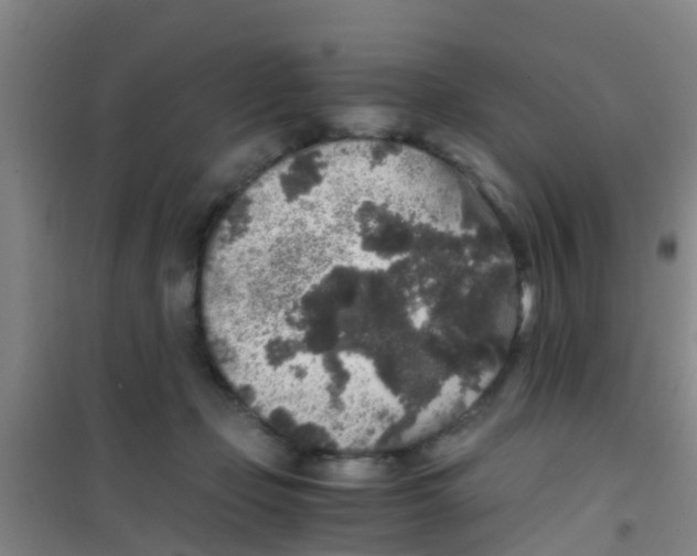 X0000100420365200807032107