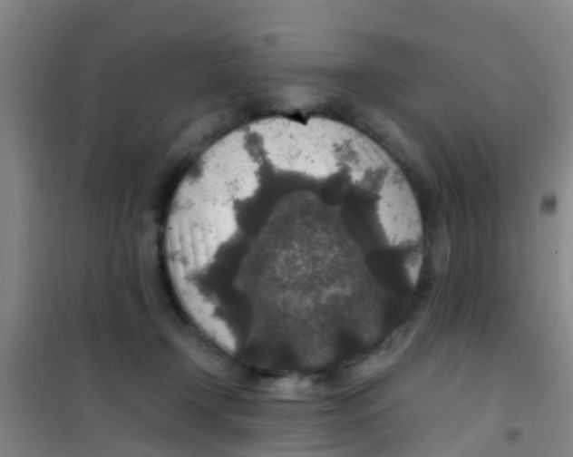 X0000100420366200807032107