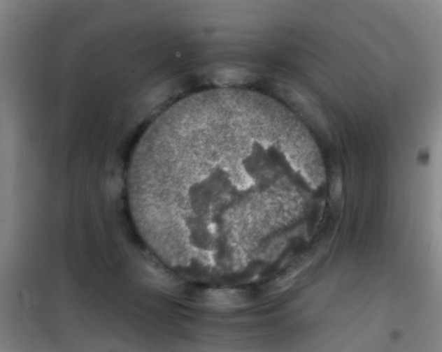 X0000100420367200807032107