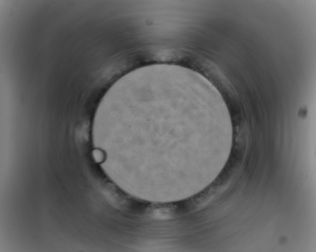 X0000100420368200807032107