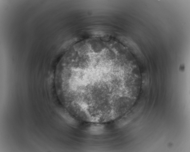 X0000100420369200807032107