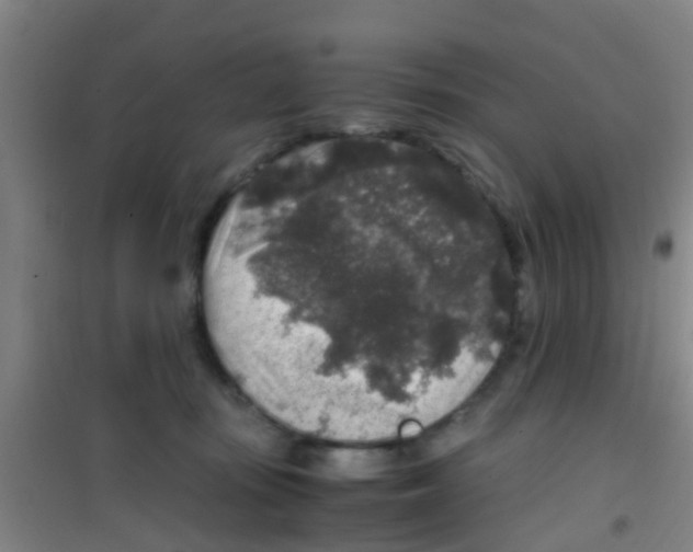 X0000100420371200807032107