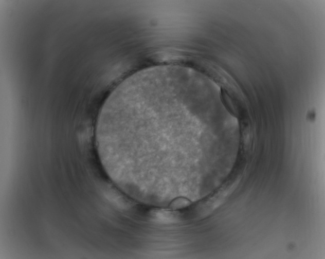 X0000100420372200807032107