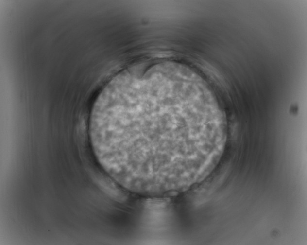 X0000100420373200807032107