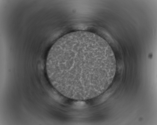 X0000100420374200807032107