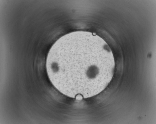 X0000100420376200807032107