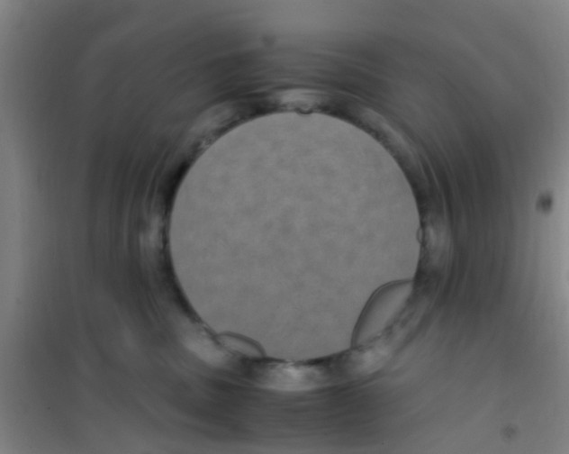 X0000100420379200807032107