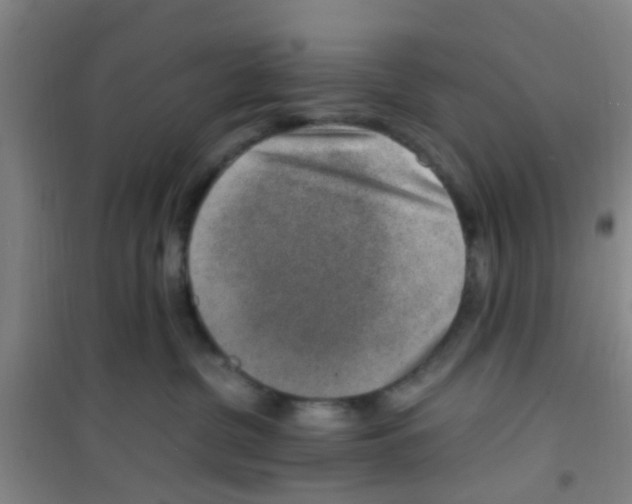 X0000100420380200807032107