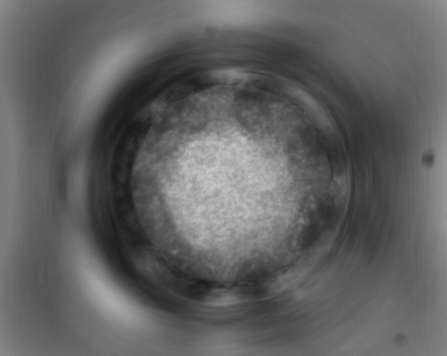 X0000100420381200807032107