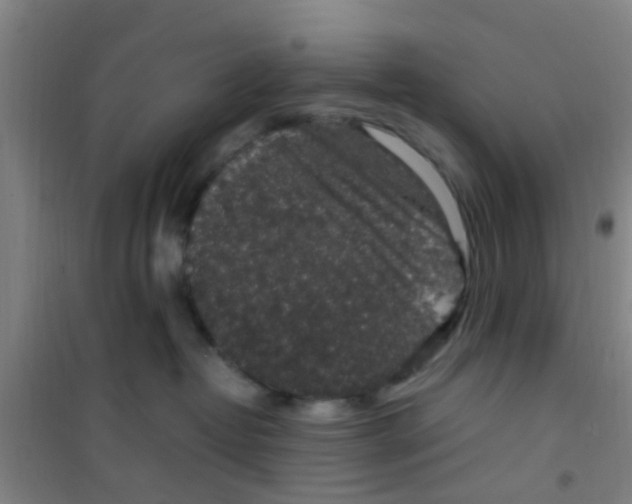 X0000100420382200807032107