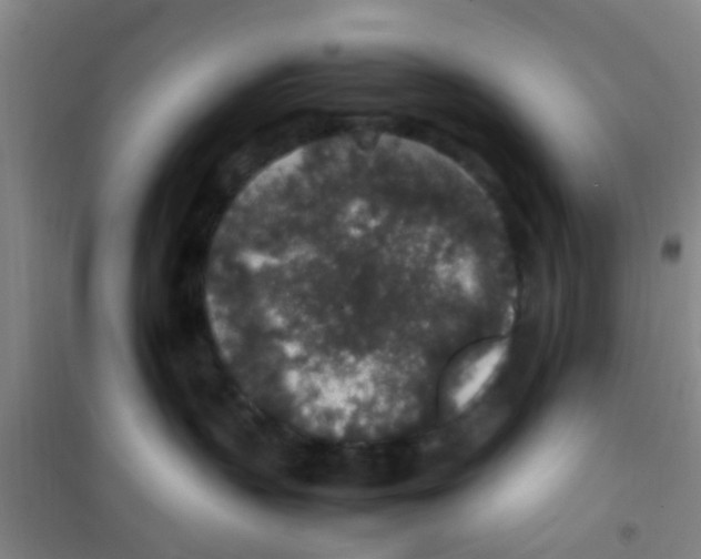 X0000100420383200807032107