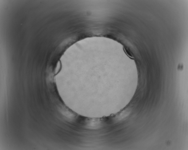 X0000100420384200807032107