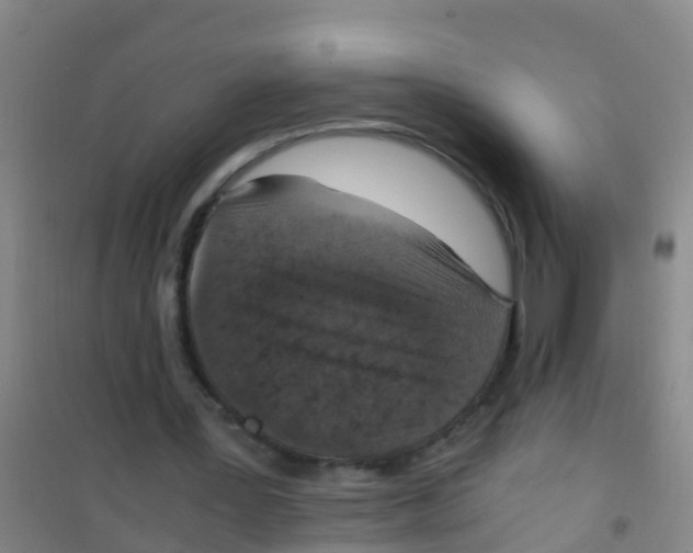 X0000100420387200807032106