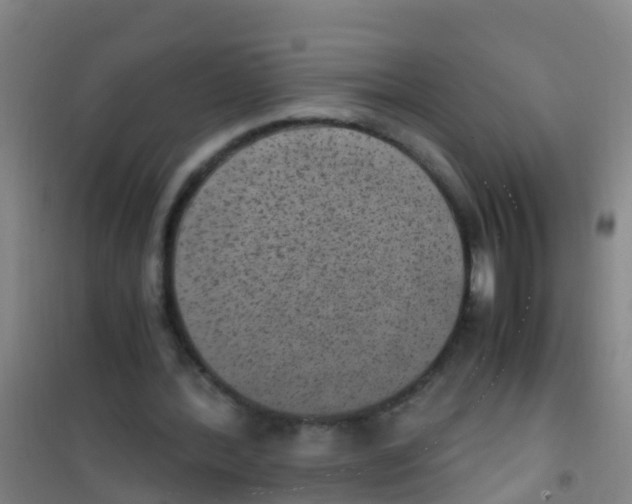 X0000100420388200807032106