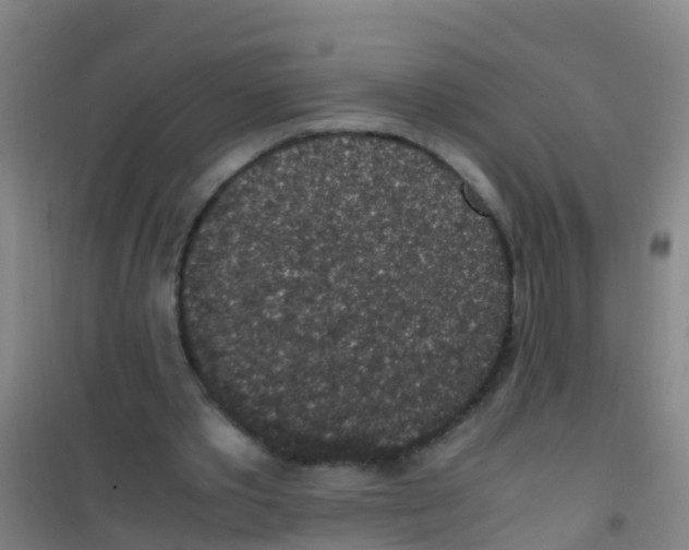 X0000100420389200807032106