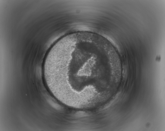 X0000100420390200807032106