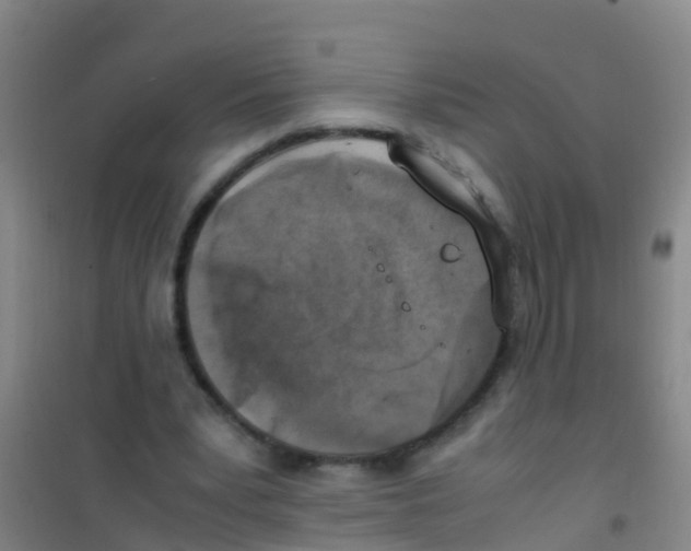 X0000100420391200807032106