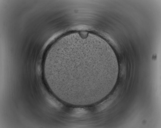 X0000100420392200807032106