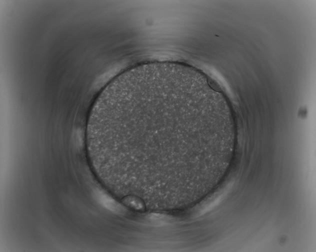 X0000100420393200807032106