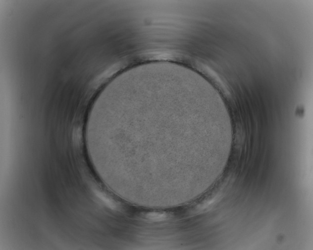 X0000100420394200807032106