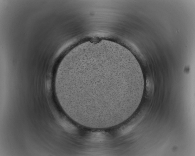 X0000100420396200807032106