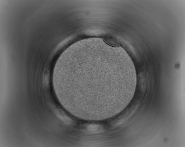 X0000100420400200807032106