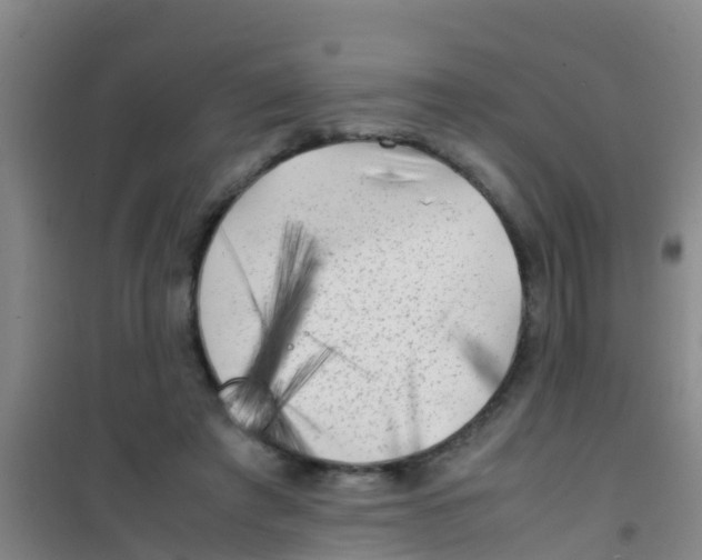 X0000100420401200807032106