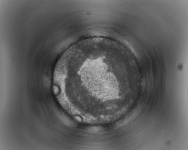 X0000100420402200807032106