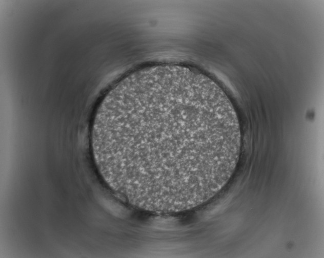 X0000100420403200807032106