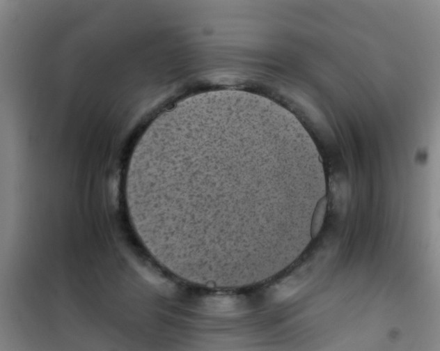 X0000100420404200807032106