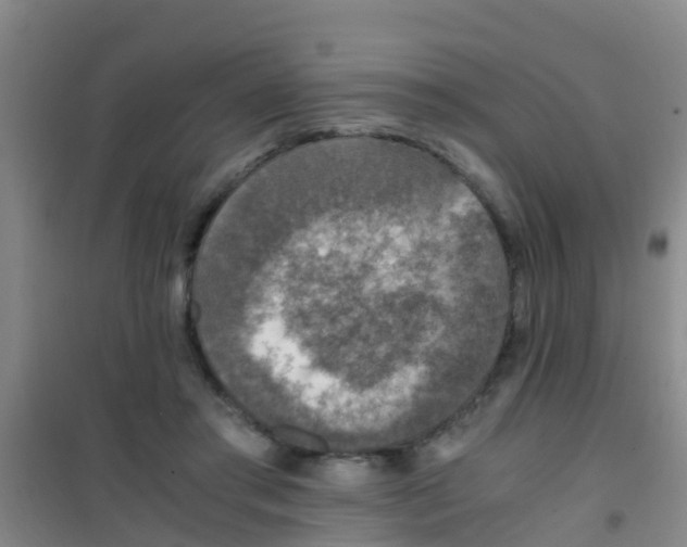 X0000100420405200807032106