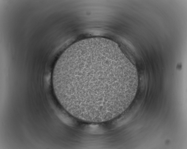 X0000100420406200807032106