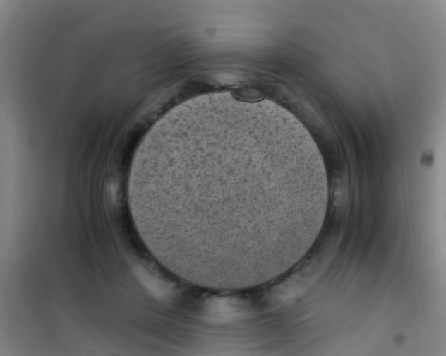 X0000100420408200807032106