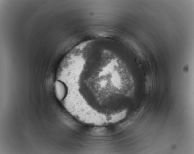 X0000100420410200807032106