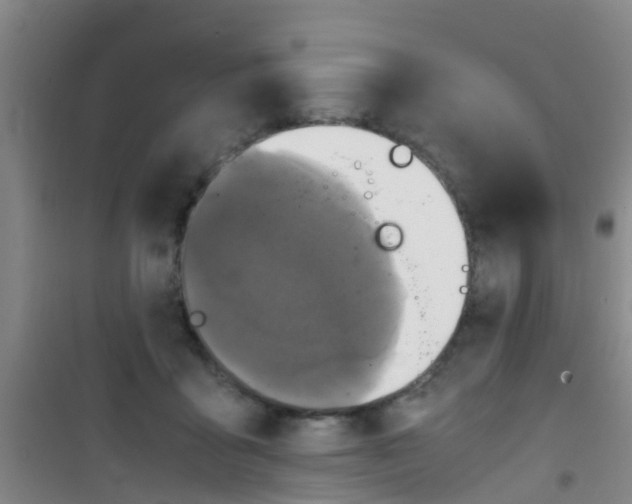 X0000100420411200807032106