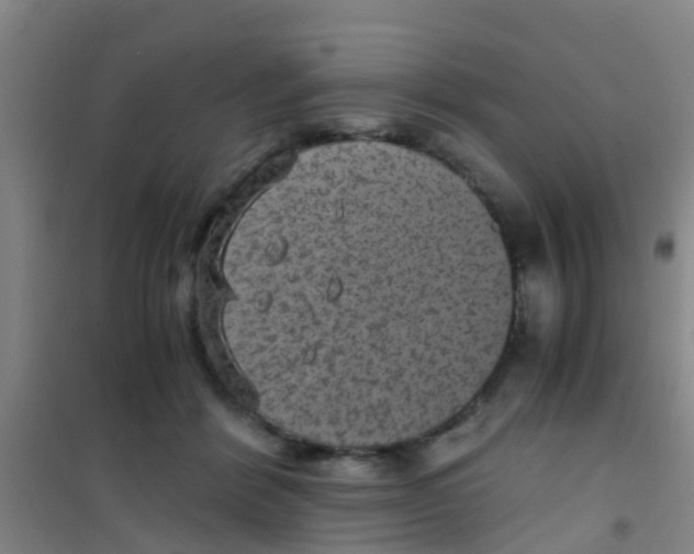 X0000100420412200807032106