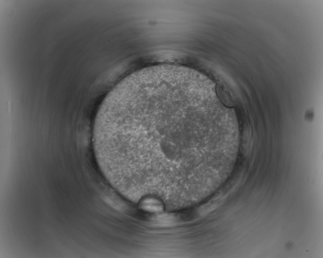 X0000100420413200807032106