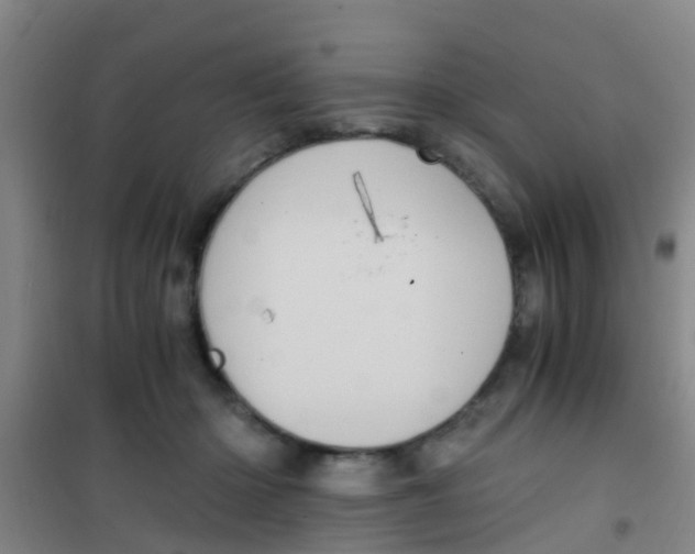 X0000100420414200807032106