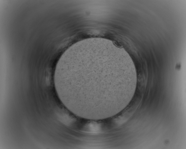 X0000100420416200807032106