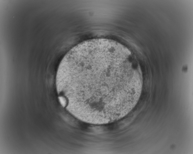 X0000100420417200807032106