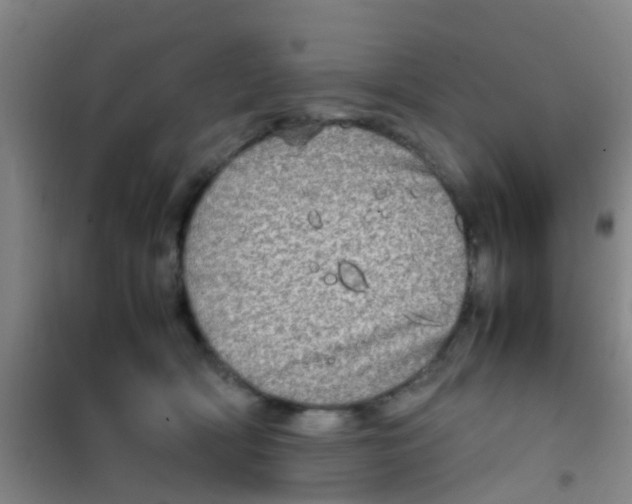 X0000100420418200807032106