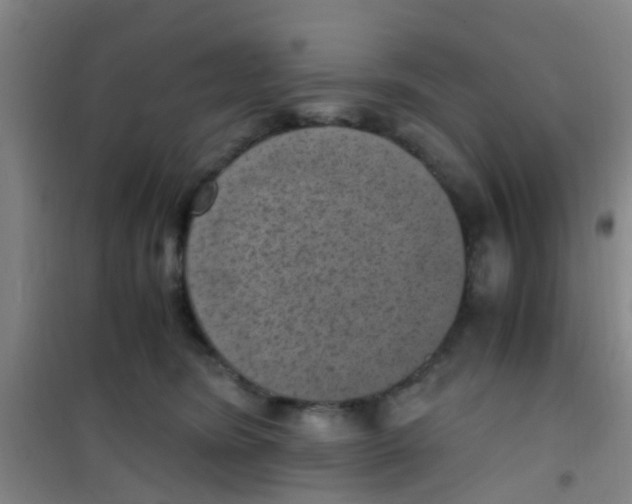 X0000100420420200807032106