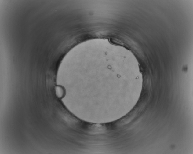 X0000100420421200807032106