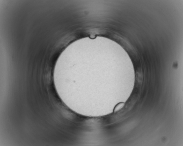 X0000100420422200807032106