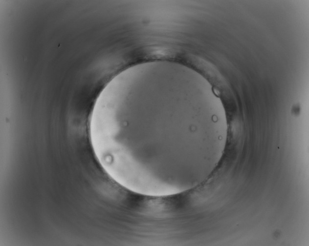 X0000100420423200807032106