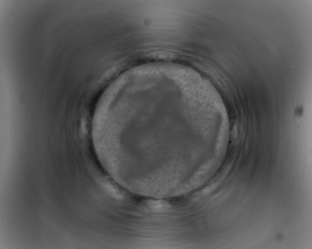 X0000100420424200807032106